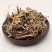 甘松500g甘菘干松根香草香松甘香松量大从优