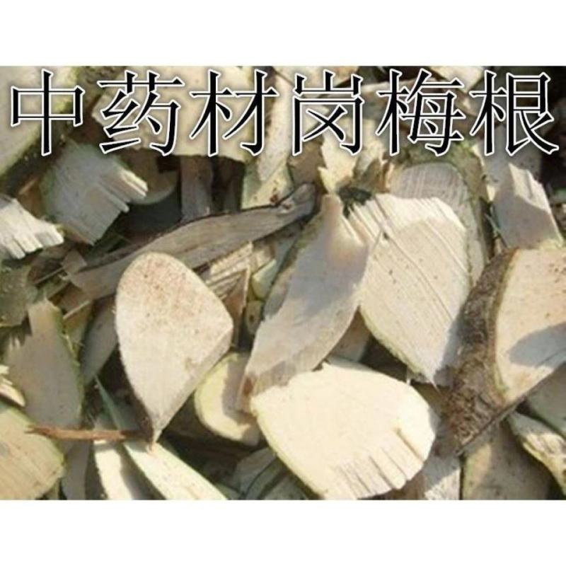 中药材野生岗梅根干品山梅根点秤星天星根山梅根