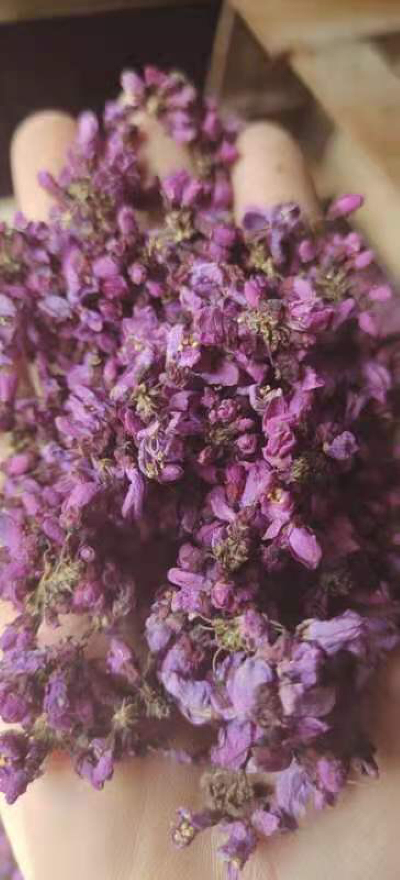 中药材紫荆花，一手货源