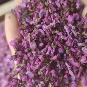 中药材紫荆花，一手货源