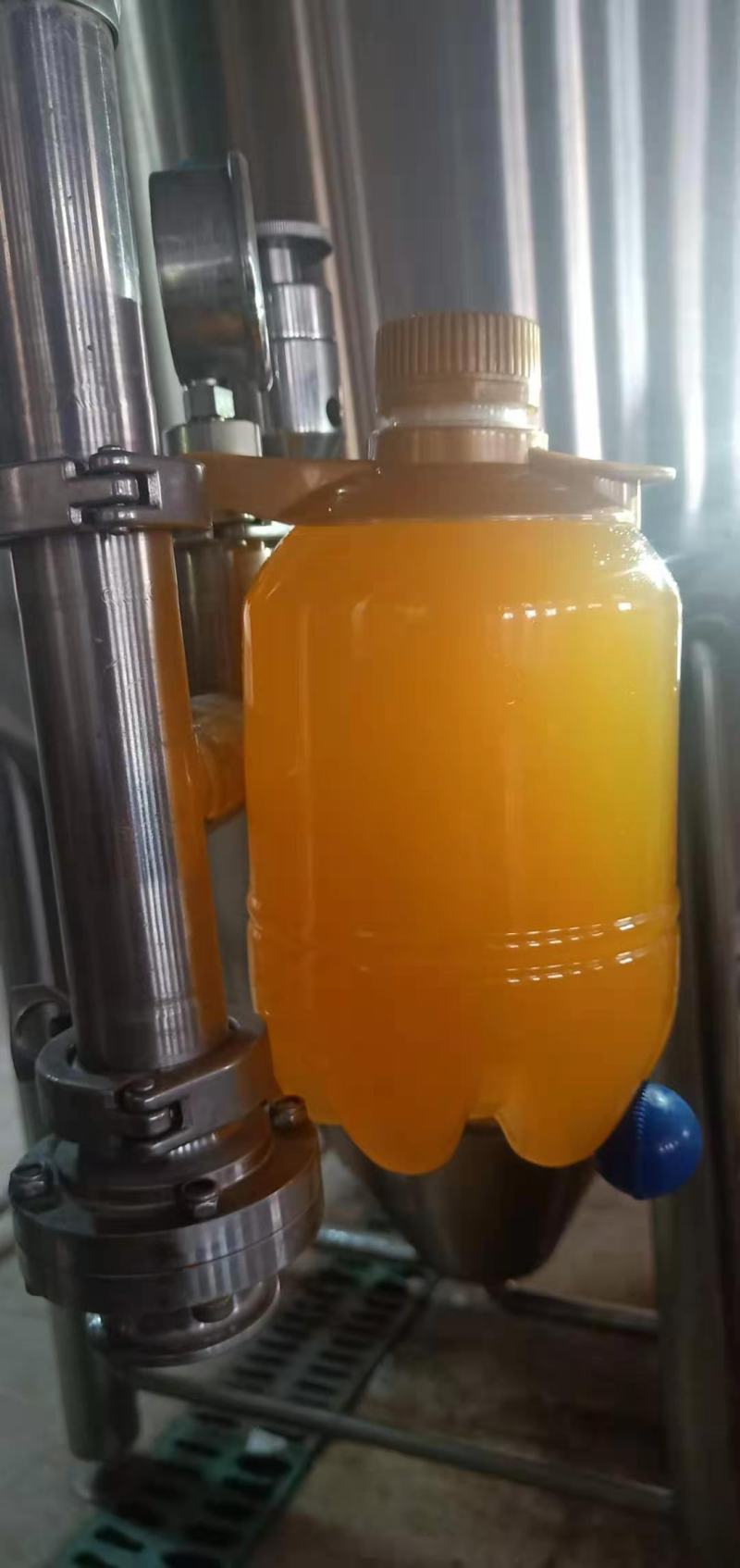 青岛产地原浆啤酒2L麦汁浓度13酒精度5.3发酵28天