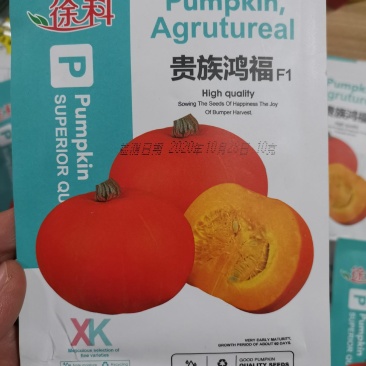【优质】金栗南瓜贝贝南瓜种子板栗南瓜种子