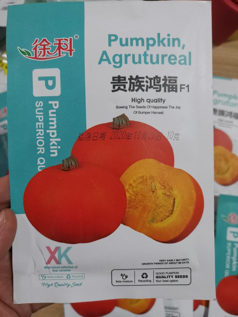 【优质】金栗南瓜贝贝南瓜种子板栗南瓜种子