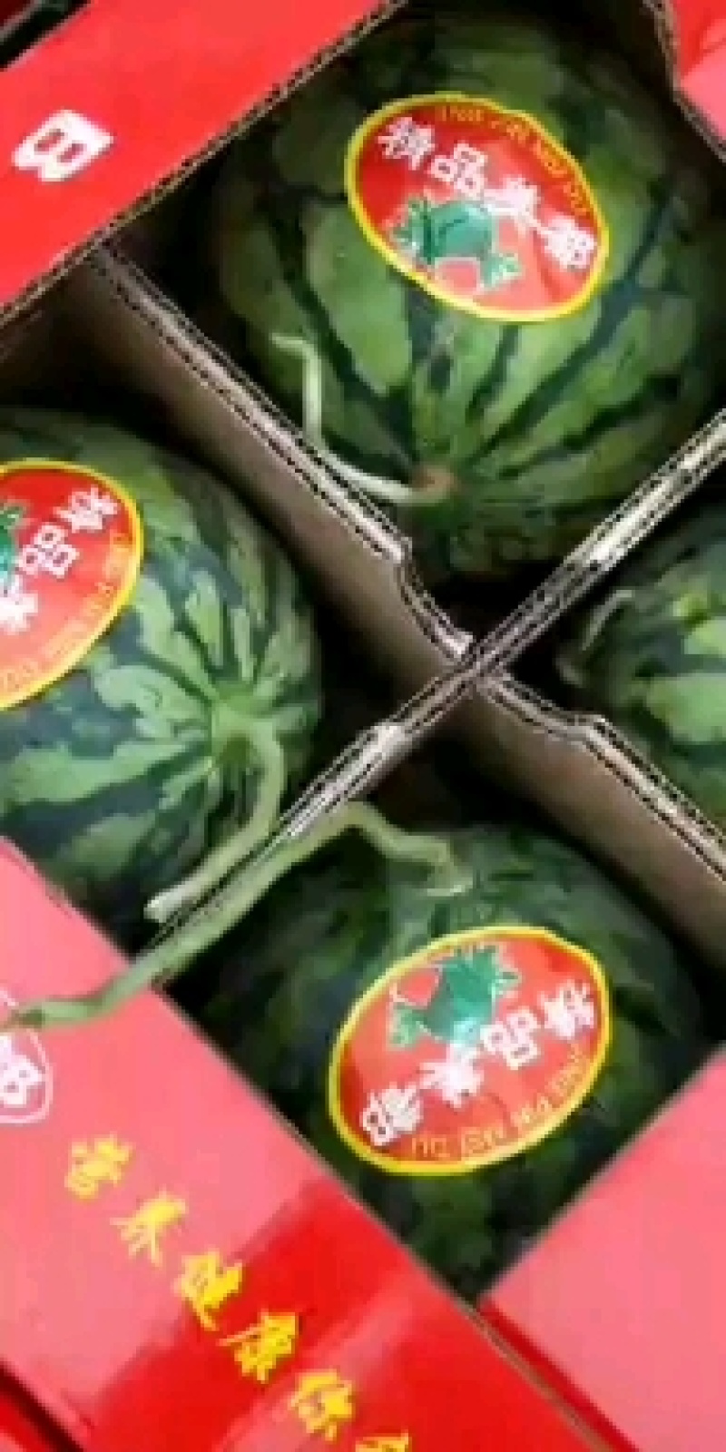 无籽美都，口敢纯正，欢迎大家前来产地采购