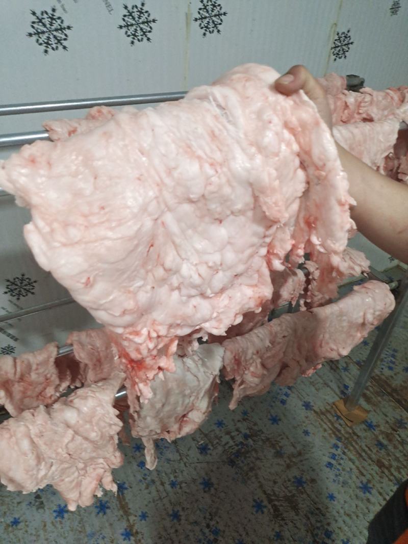 三斤以上大油，每天新鲜发货，欢迎长期合作。