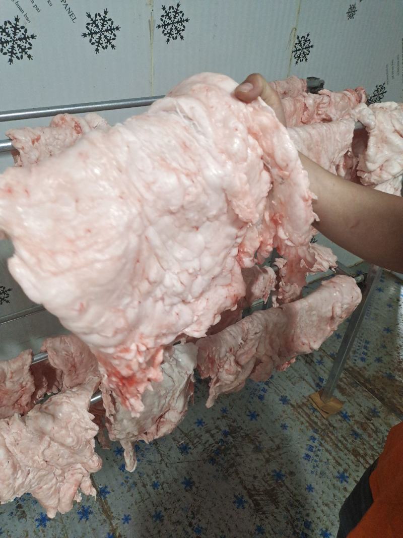 三斤以上大油，每天新鲜发货，欢迎长期合作。