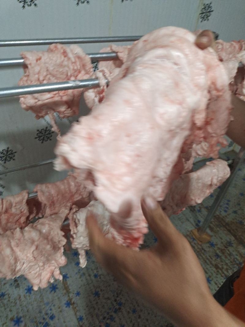 三斤以上大油，每天新鲜发货，欢迎长期合作。