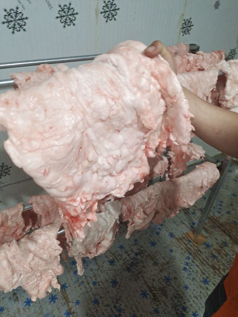 三斤以上大油，每天新鲜发货，欢迎长期合作。
