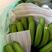 威廉斯，基地焦一件18斤，二十四斤，市场超市专卖大香蕉，