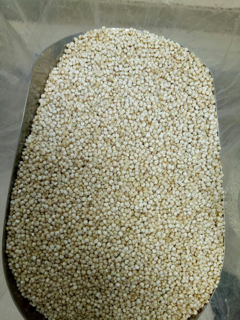 玻利维亚白藜麦，我公司主要以进口藜麦为主，欢迎咨询