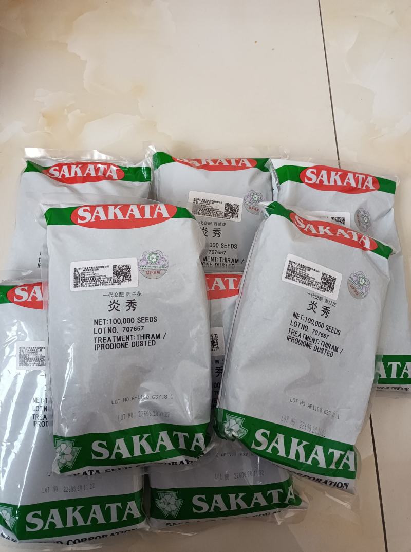 耐寒优秀，炎秀西兰花种子大量有货