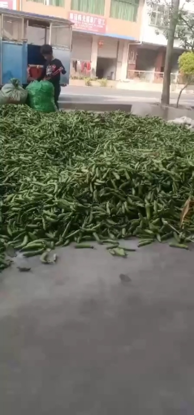 蚕豆胡豆需要的快来哦