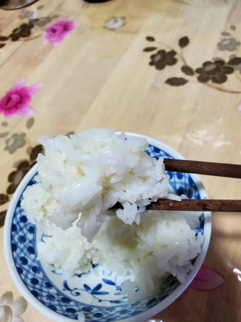 黑龙江新长粒香水稻，去杂净稻谷，适合现磨现卖，胚芽米**