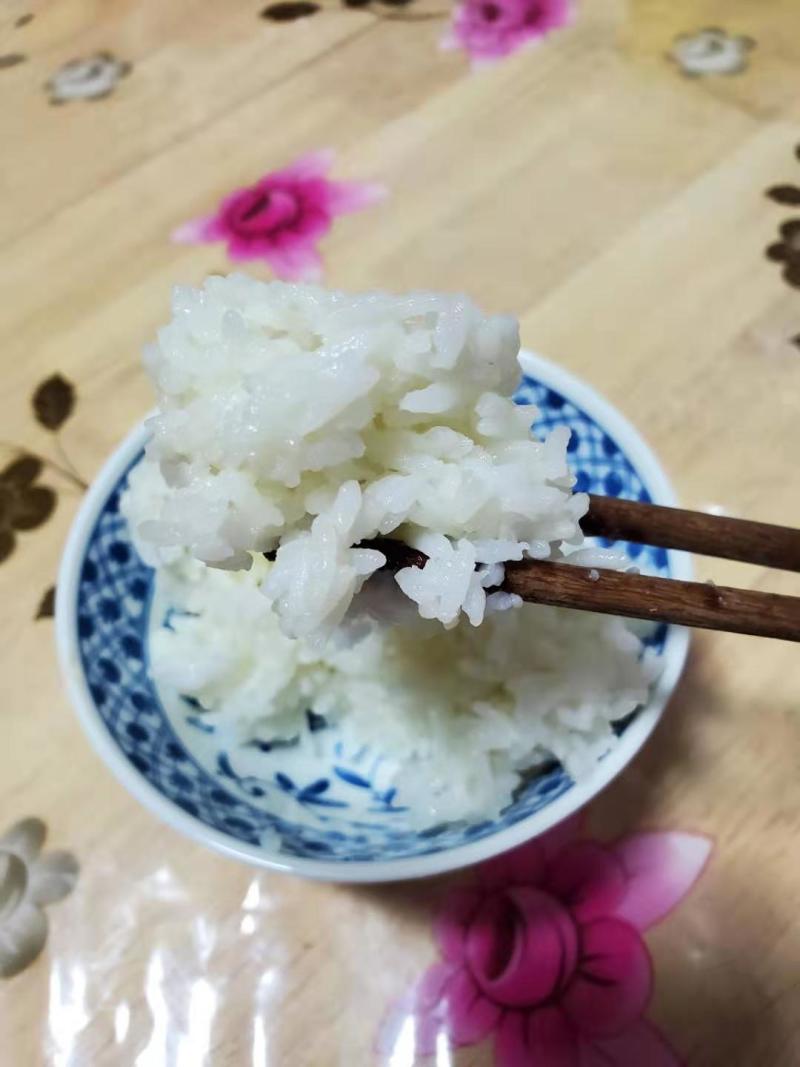 黑龙江新长粒香水稻，去杂净稻谷，适合现磨现卖，胚芽米**