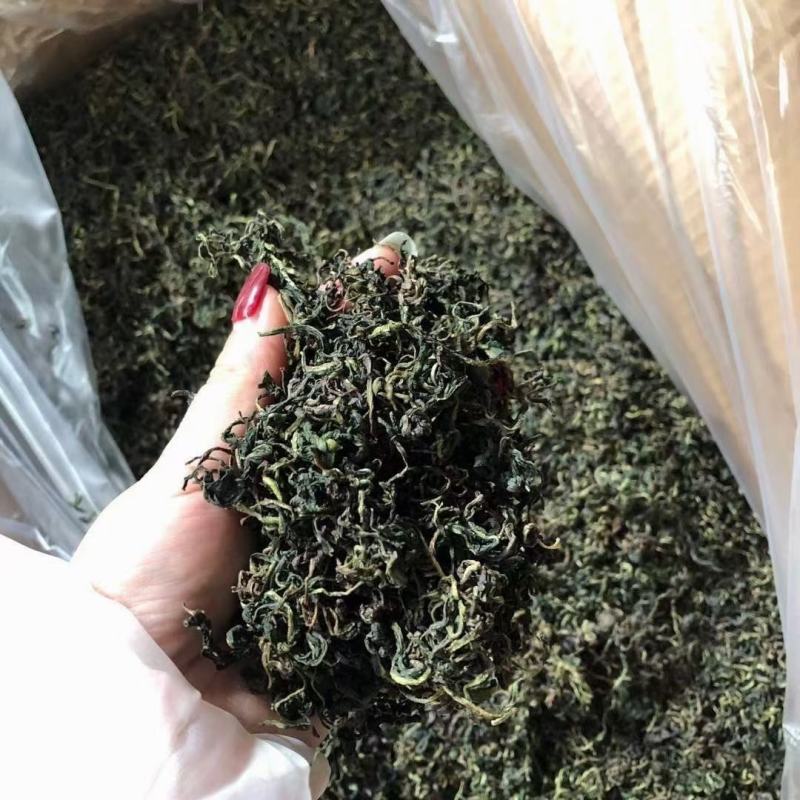 蒲公英场地批发一件30斤价格美丽电商地摊
