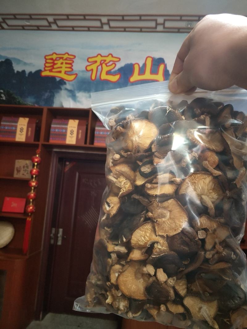 野生香菇香菇大瑶山源产地香菇