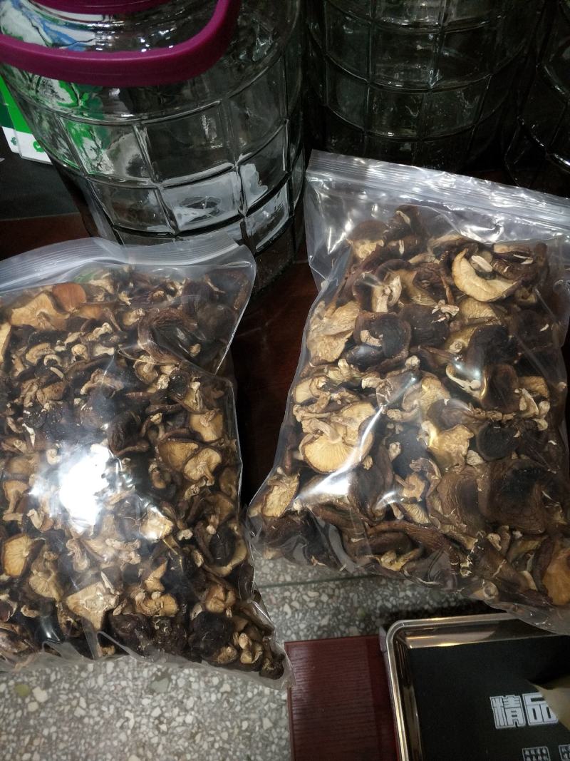 野生香菇香菇大瑶山源产地香菇
