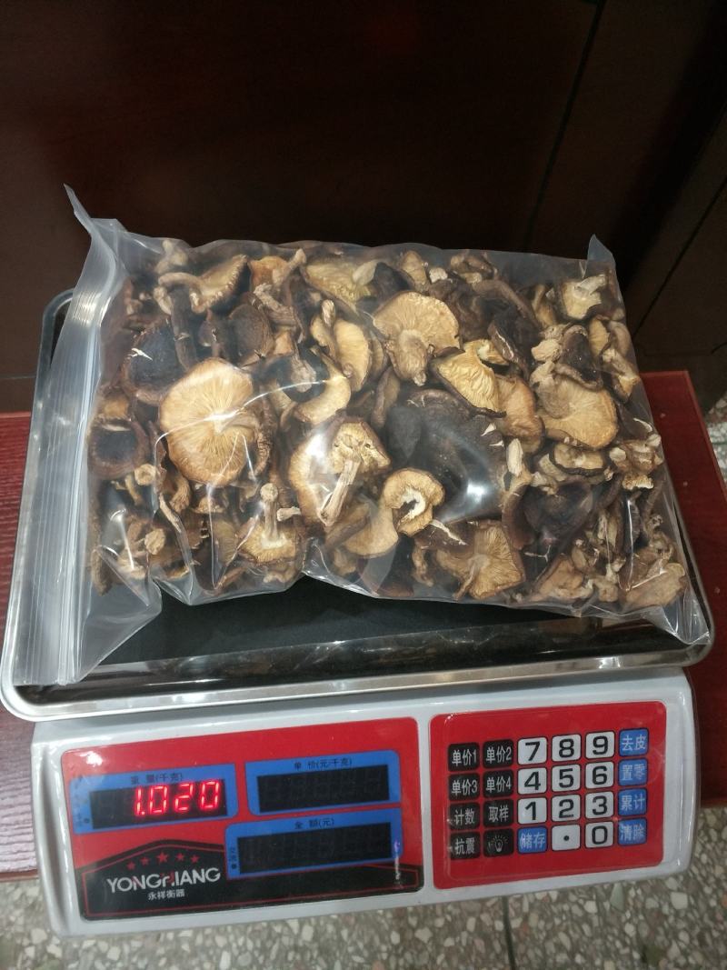 野生香菇香菇大瑶山源产地香菇