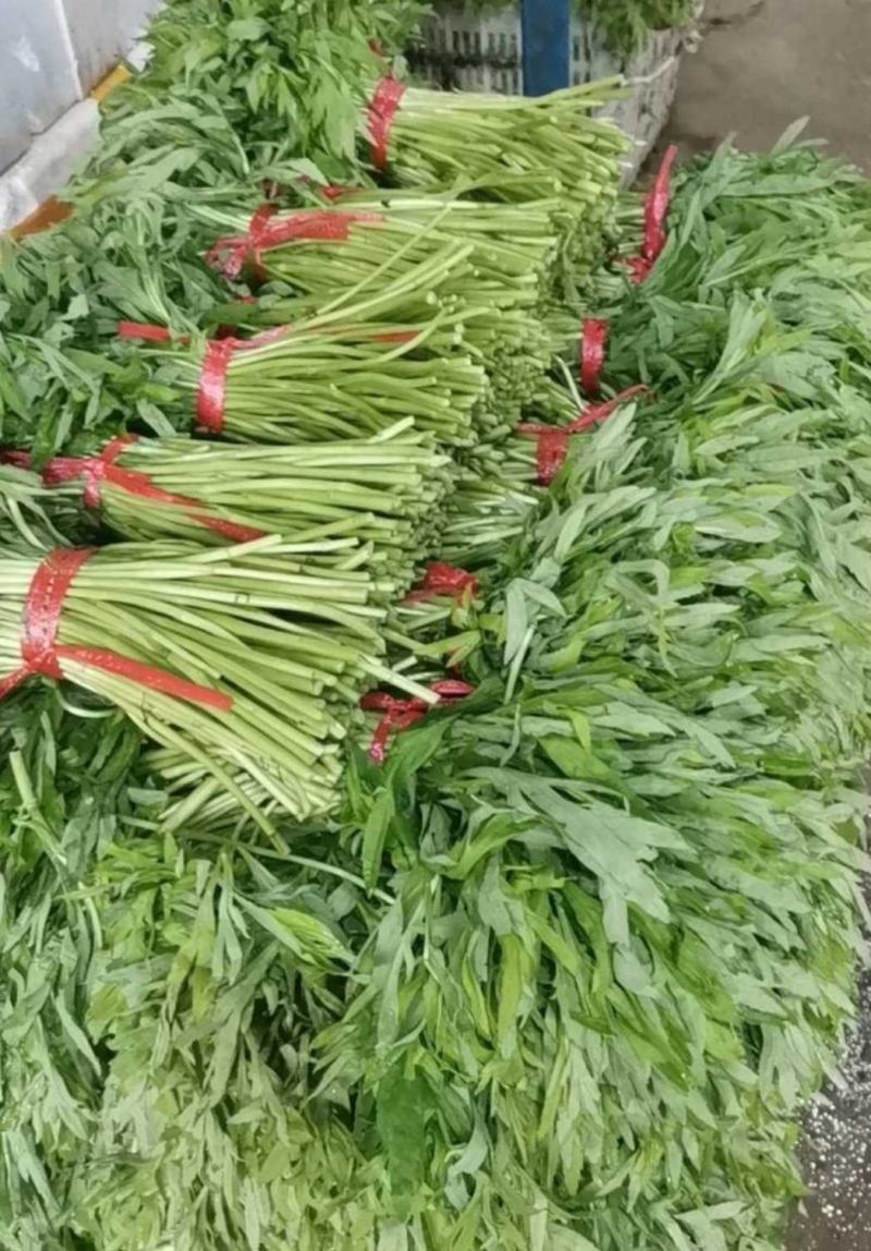 黎蒿：又名蒌蒿。芦蒿。柳蒿，菊科蒿，属野生草本植物，经