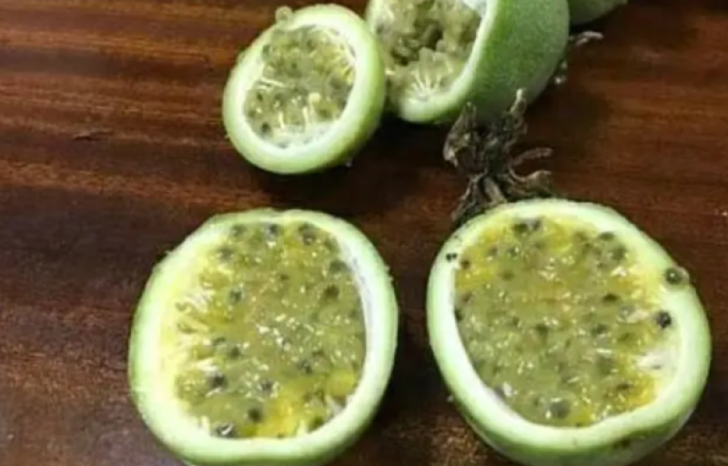 [热销]绿皮百香果苗荔枝味百香果苗正品苗包邮