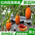 [热销]新品种蓝冠百香果苗优良品种正品苗包邮