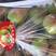 七月红梨，纯甜，糖度高，渣少皮细，可供电商社区团购