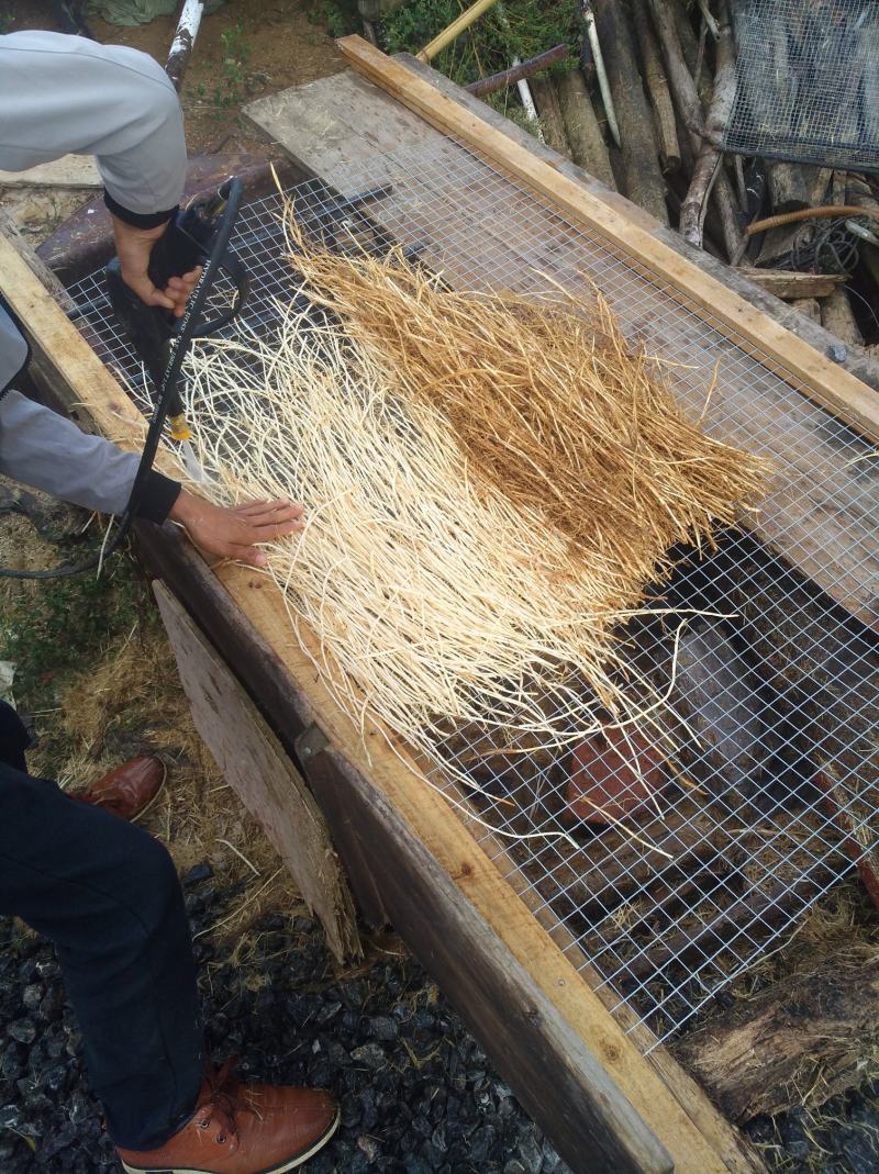 广西中药材中草药白茅根产地批发规格齐全对接药厂