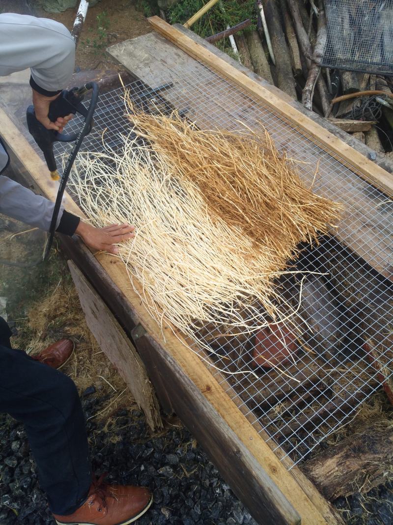 广西中药材中草药白茅根产地批发规格齐全对接药厂