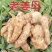 山东安丘黄姜产地批发视频看货精品优选量大优