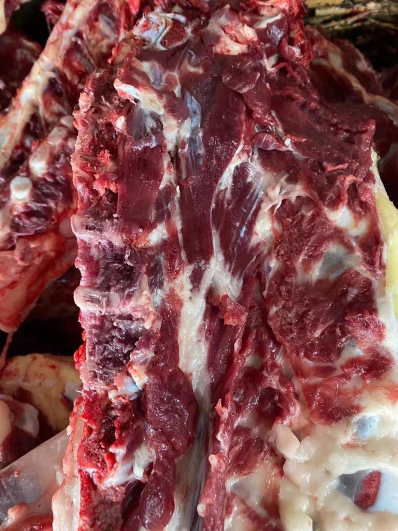 驴肉、五香熟驴肉，安徽驴肉，品种多样，产地安徽货发全国