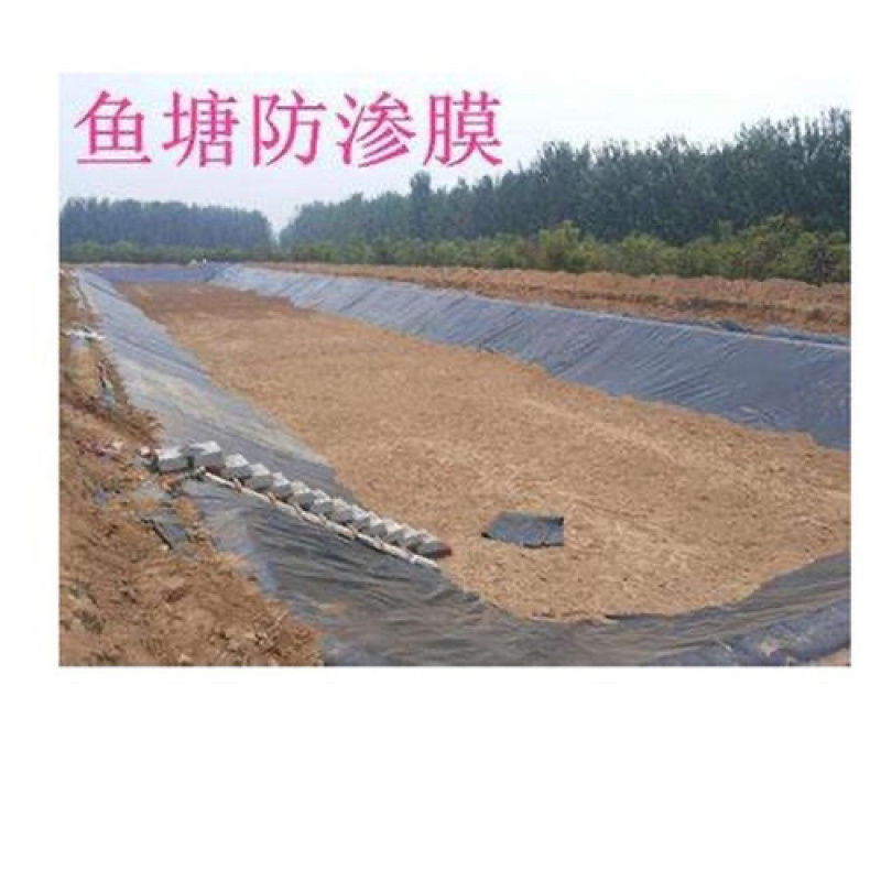 鱼塘养殖土工蓝膜绿色防渗膜防水布塑料布加厚底膜