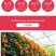 凌霄花苗盆栽四季爬墙藤本植物美国炮仗大花浓香庭院阳台老桩