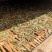 头采白豪银针芽头肥壮散装福鼎高山蟠溪山正宗