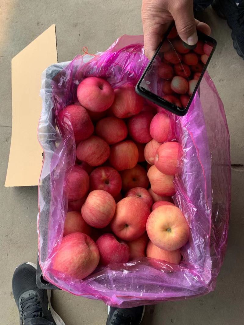 清库处理冷库绥中放药富士，一手货源