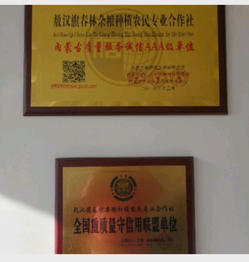 当年纯新荞麦粉敖汉特产，荞麦粉不含运费
