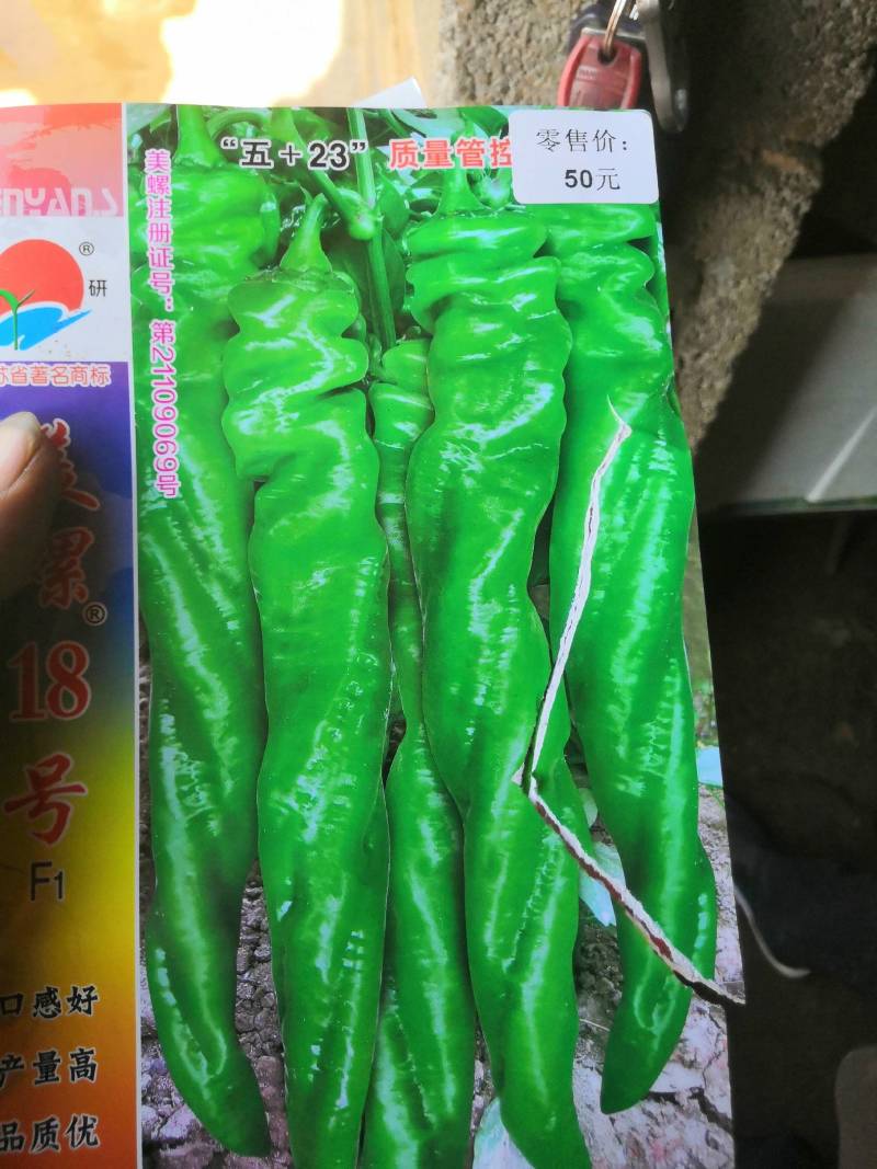 （辣椒苗）茶氏育苗基地常年供应各种各样辣椒苗，欢迎全国各