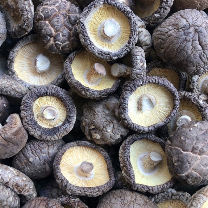 干香菇肉厚一手货源【优质商家，产地直销，供你选择】