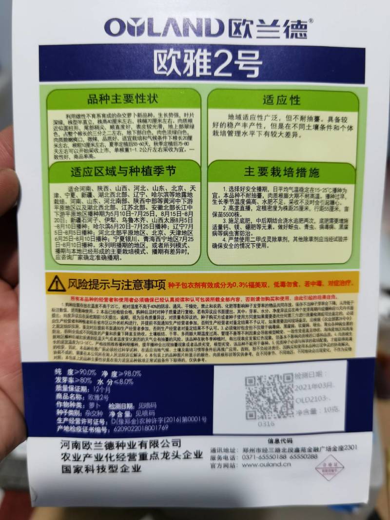 夏播抗热萝卜种子欧雅2号夏季耐热耐高温反季节50天上市