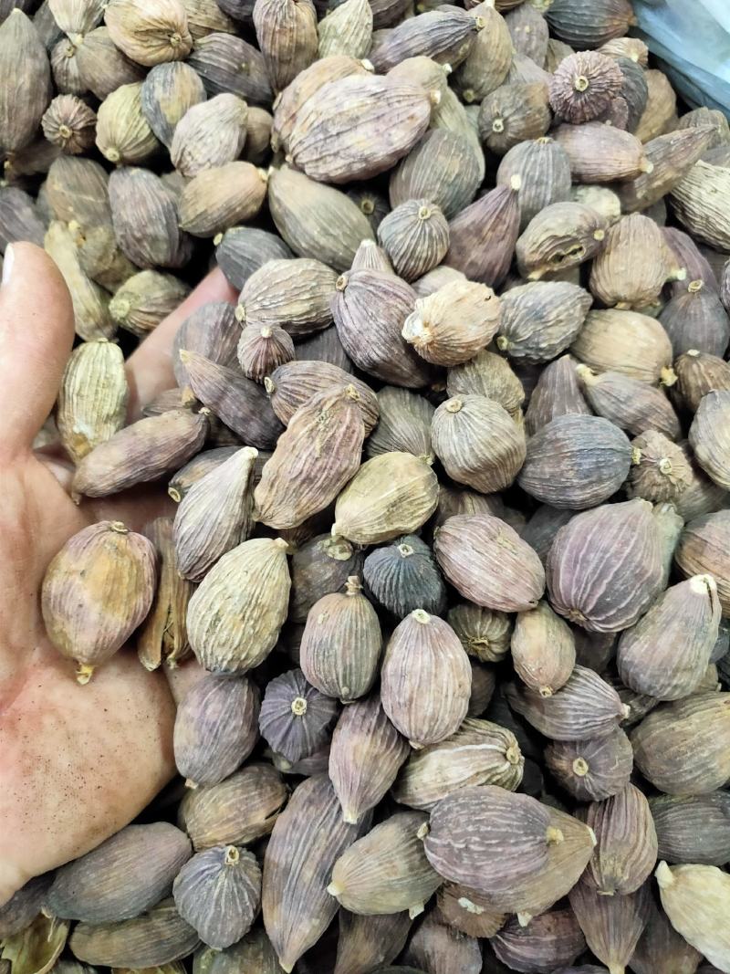 草果云南草果干草果火烤草果电烤草果产地直发精品草果