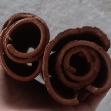 产地直销玉桂桂皮欢迎选购有大量货源欢迎选购