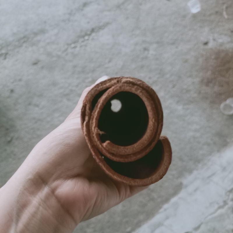 产地直销玉桂桂皮欢迎选购有大量货源欢迎选购