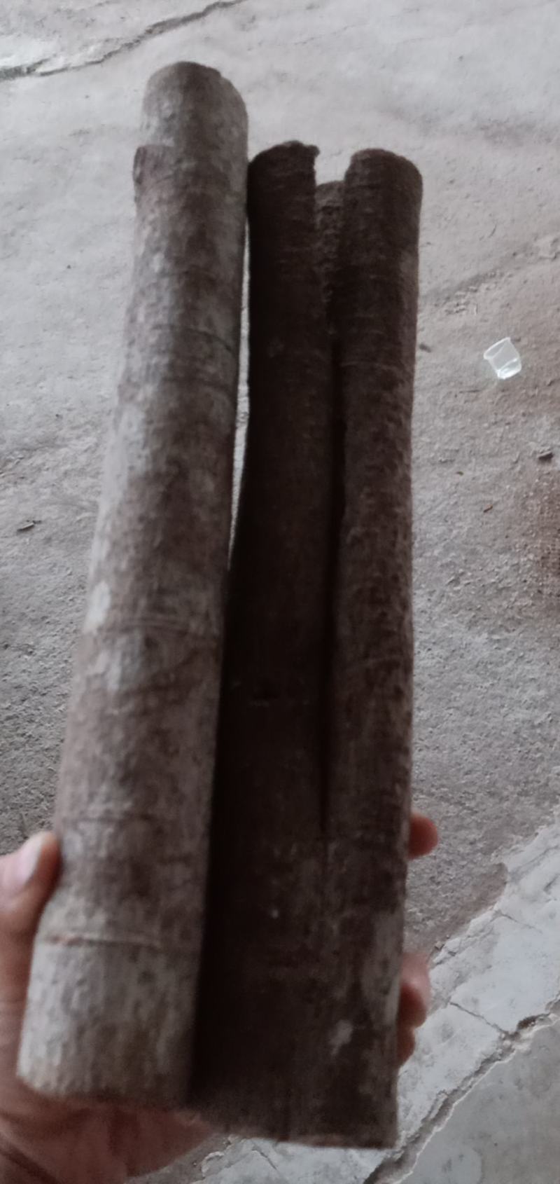 产地直销玉桂桂皮欢迎选购有大量货源欢迎选购