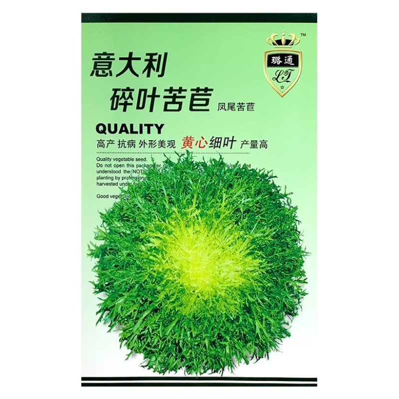 黄心苦苣种子大田菜园高产易种碎叶细叶黄心苦菊种子蔬