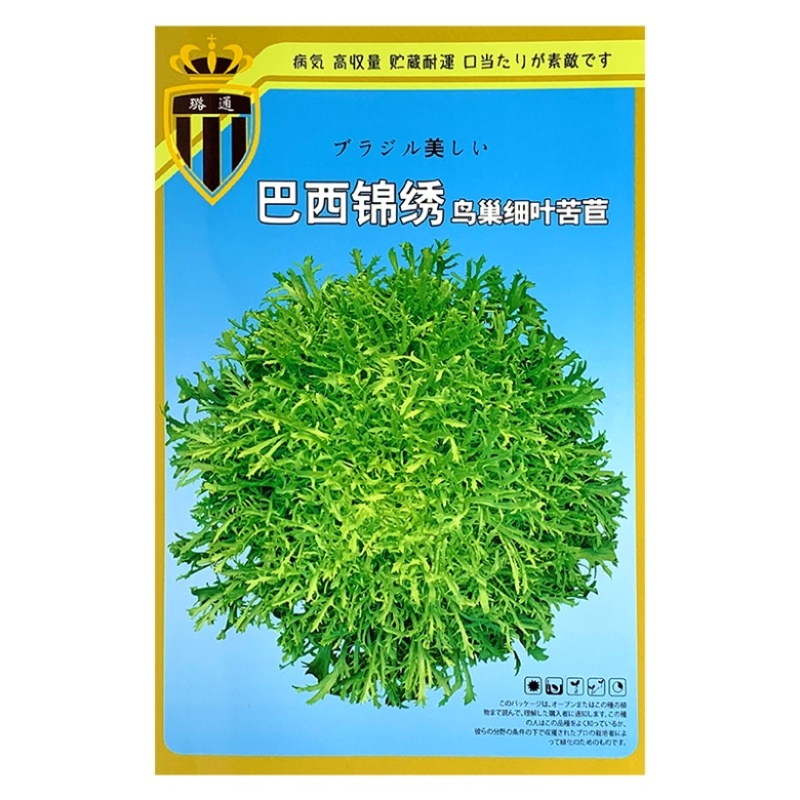 黄心苦苣种子大田菜园高产易种碎叶细叶黄心苦菊种子蔬