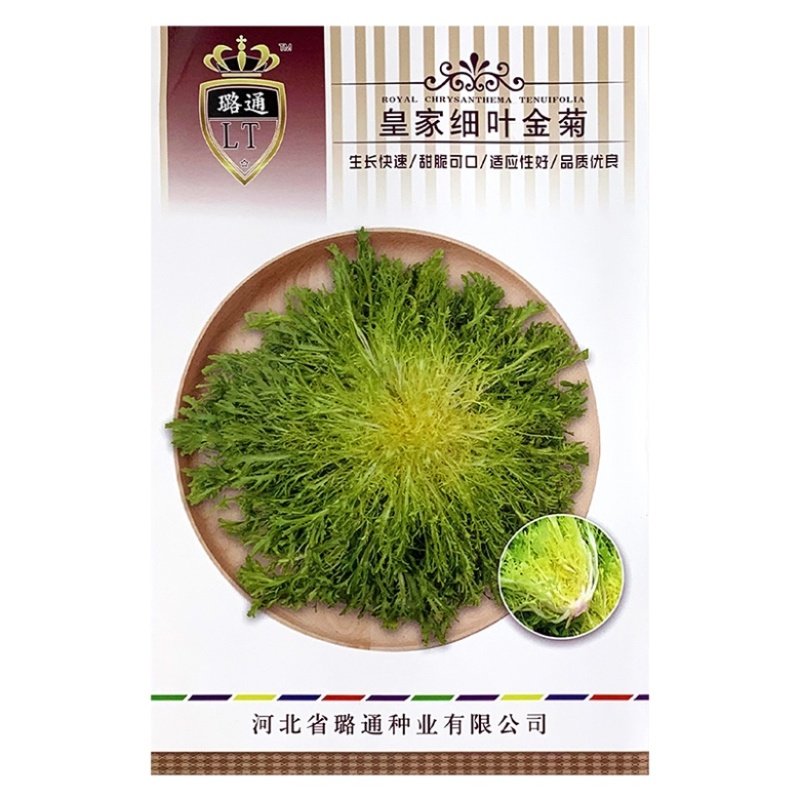 黄心苦苣种子大田菜园高产易种碎叶细叶黄心苦菊种子蔬