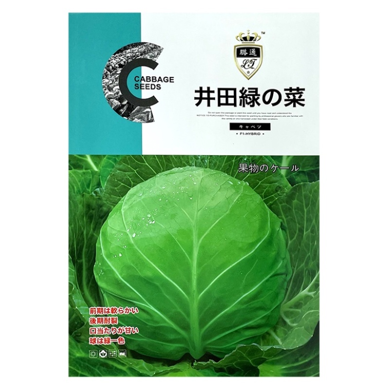 进口甘蓝种子外球全绿前期松软后期耐裂口感甜脆