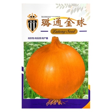 璐通金球洋葱种子黄皮圆葱种子农田菜园高产杂交种子