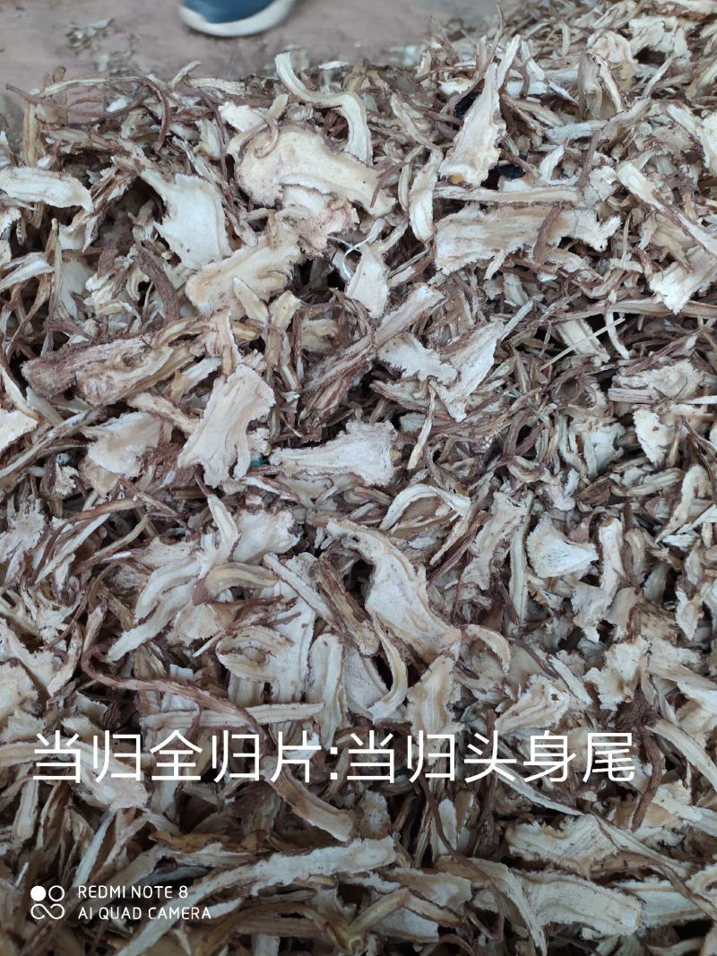 甘肃岷县原产地当归头片、全归片、当归股片，现货供应