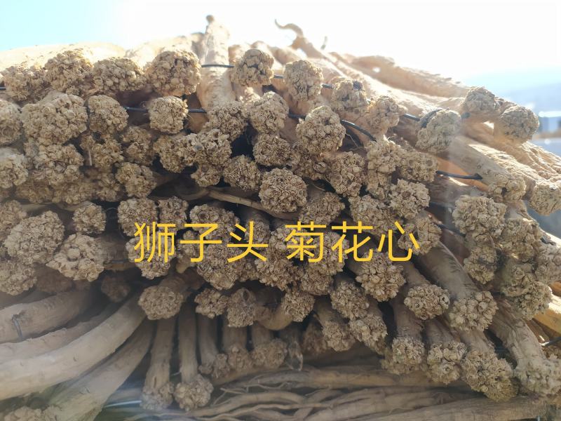 甘肃岷县党参原条白条新货大量现货，甜度高纯无硫自然风干