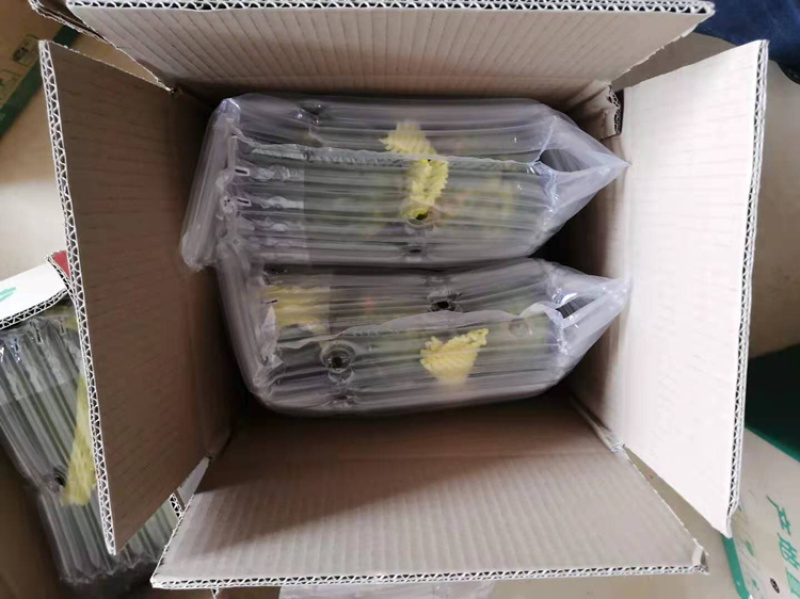 雷州冰糖红心木瓜牛奶木瓜